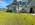 limestone-flowerbed-border-belton.jpg